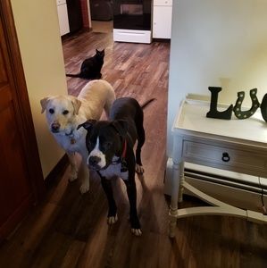 Meet your Posher, Karen